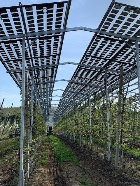 Äpfel, Akzeptanz, Anlagendesign, aufgeständerte Unterkonstruktion, Bewirtschaf-tung, Direktvermarktung, doppelte Landnutzung, Dürreschäden, Eigenstromver-brauch, Energiewende, Ertragsprognose, Flächendruck, Flächeneffizienz, Folienüber-dachung, Frostschäden, Genehmigungsprozesse, Hagelschäden, Hagelschutznetze, intensive Ackerkulturen, Klimawandel, Landschaftsästhetik, Landschaftsattraktivität, Landschaftsschutz, landwirtschaftliche Hauptnutzung, Lichtverfügbarkeit, Marktfähig-keit, Naturschutz, Fotosynthese, Pilotanlagen, privilegierte Vorhaben, ressourceneffi-ziente Landnutzung, Semitransparent, Sonnenbrand, Starkregen, Strombörse, Syner-getische Integration, Tracker, Wassermanagement, Wasserverfügbarkeit, zusätzliche Solarstromproduktion, zusätzliches Einkommen, EEG-Förderung, Ertragssteigerungen, Beeren, Wein, Gemüse, Modulbreite, Bilanzkreis, Ackerkulturen, Gesamtproduktivität, anzulegender Wert, dienende Funktion, Netzbetreiber, Ernteausfälle, zusätzliche Ein-kommensquelle, Reihenabstand, gartenbauliche, Kulturen, Sonderkulturen, lichte Hö-he, überragendes öffentliches, Interesse, Rammung, Erzeugungsprognose, Über-schusseinspeisung, Marktpreis, Neigungswinkel, Wechselrichter, Fernsteuerbarkeit, Bodenversiegelung, fixe Einspeisevergütung, Marktprämie, Flächendruck, PV, Photo-voltaik, Solar, PV-Anlage, Photovoltaik-Anlage, Photovoltaik Anlage, AgriPV, AgriPV, Agrar-PV, Agrar-PV, Agrar-Photovoltaik, Agrar Photovoltaik, Module, Unterkonstrukti-on, Landwirtschaft, Land, grün, Bauern, Obstanbau, Obst, Energie, erneuerbare Ener-gie, PV, Carports, Tracker, geführt, statisch, Deutschland, PV-Firma, PV Firma, Agrar, Pflanzenkultur, Himbeere, Wein, Obst, Apfel