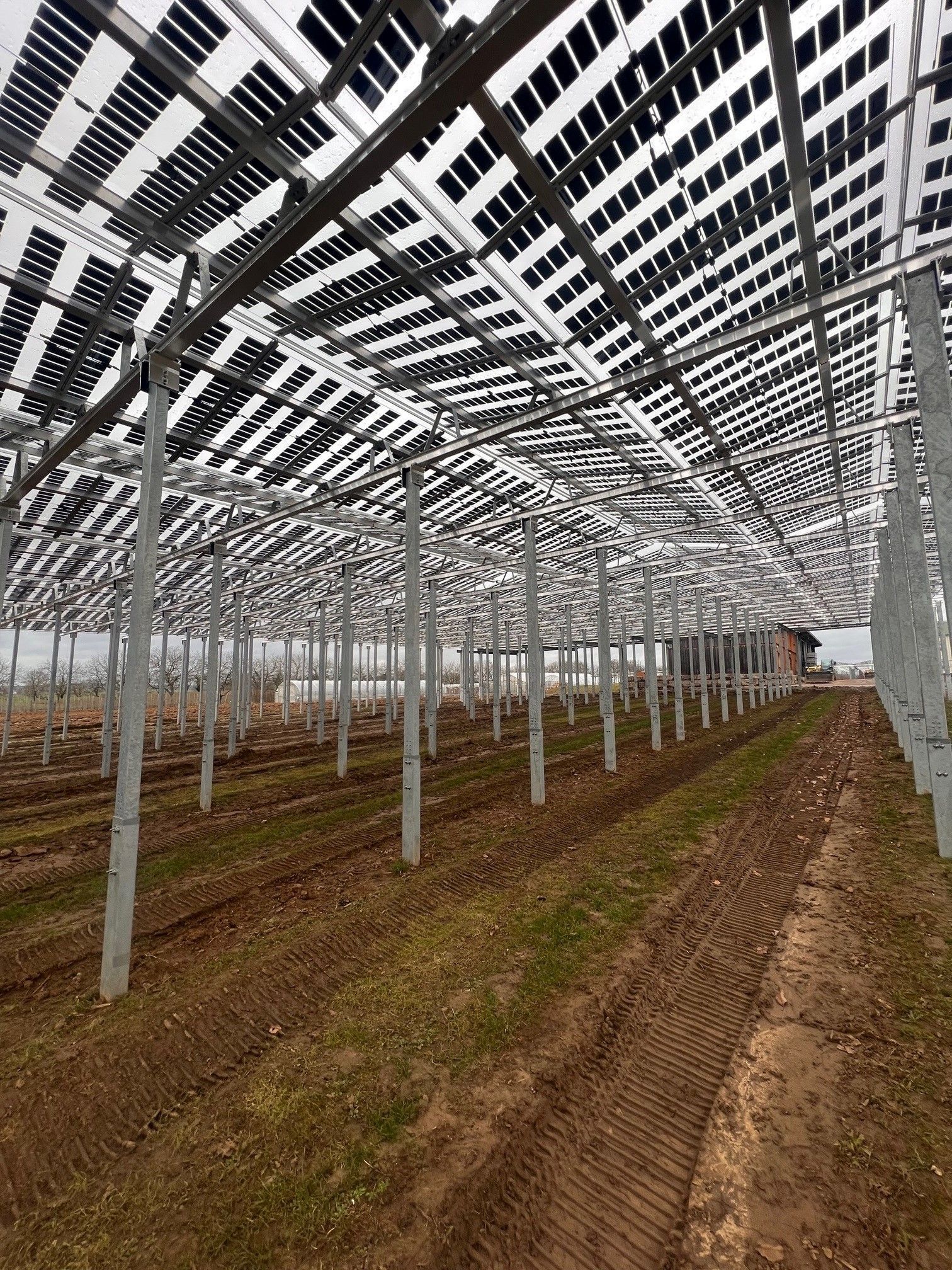 Äpfel, Akzeptanz, Anlagendesign, aufgeständerte Unterkonstruktion, Bewirtschaf-tung, Direktvermarktung, doppelte Landnutzung, Dürreschäden, Eigenstromver-brauch, Energiewende, Ertragsprognose, Flächendruck, Flächeneffizienz, Folienüber-dachung, Frostschäden, Genehmigungsprozesse, Hagelschäden, Hagelschutznetze, intensive Ackerkulturen, Klimawandel, Landschaftsästhetik, Landschaftsattraktivität, Landschaftsschutz, landwirtschaftliche Hauptnutzung, Lichtverfügbarkeit, Marktfähig-keit, Naturschutz, Fotosynthese, Pilotanlagen, privilegierte Vorhaben, ressourceneffi-ziente Landnutzung, Semitransparent, Sonnenbrand, Starkregen, Strombörse, Syner-getische Integration, Tracker, Wassermanagement, Wasserverfügbarkeit, zusätzliche Solarstromproduktion, zusätzliches Einkommen, EEG-Förderung, Ertragssteigerungen, Beeren, Wein, Gemüse, Modulbreite, Bilanzkreis, Ackerkulturen, Gesamtproduktivität, anzulegender Wert, dienende Funktion, Netzbetreiber, Ernteausfälle, zusätzliche Ein-kommensquelle, Reihenabstand, gartenbauliche, Kulturen, Sonderkulturen, lichte Hö-he, überragendes öffentliches, Interesse, Rammung, Erzeugungsprognose, Über-schusseinspeisung, Marktpreis, Neigungswinkel, Wechselrichter, Fernsteuerbarkeit, Bodenversiegelung, fixe Einspeisevergütung, Marktprämie, Flächendruck, PV, Photo-voltaik, Solar, PV-Anlage, Photovoltaik-Anlage, Photovoltaik Anlage, AgriPV, AgriPV, Agrar-PV, Agrar-PV, Agrar-Photovoltaik, Agrar Photovoltaik, Module, Unterkonstrukti-on, Landwirtschaft, Land, grün, Bauern, Obstanbau, Obst, Energie, erneuerbare Ener-gie, PV, Carports, Tracker, geführt, statisch, Deutschland, PV-Firma, PV Firma, Agrar, Pflanzenkultur, Himbeere, Wein, Obst, Apfel