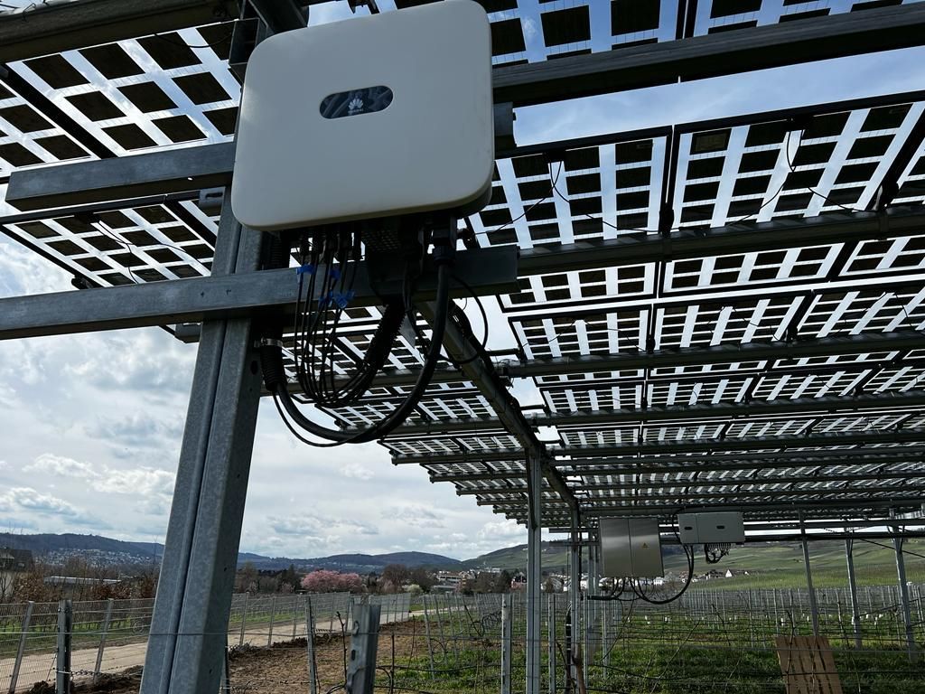 Äpfel, Akzeptanz, Anlagendesign, aufgeständerte Unterkonstruktion, Bewirtschaftung, Di-rektvermarktung, doppelte Landnutzung, Dürreschäden, Eigenstromverbrauch, Energie-wende, Ertragsprognose, Flächendruck, Flächeneffizienz, Folienüberdachung, Frostschä-den, Genehmigungsprozesse, Hagelschäden, Hagelschutznetze, intensive Ackerkulturen, Klimawandel, Landschaftsästhetik, Landschaftsattraktivität, Landschaftsschutz, landwirt-schaftliche Hauptnutzung, Lichtverfügbarkeit, Marktfähigkeit, Naturschutz, Fotosynthese, Pilotanlagen, privilegierte Vorhaben, ressourceneffiziente Landnutzung, Semitransparent, Sonnenbrand, Starkregen, Strombörse, Synergetische Integration, Tracker, Wasserma-nagement, Wasserverfügbarkeit, zusätzliche Solarstromproduktion, zusätzliches Einkom-men, EEG-Förderung, Ertragssteigerungen, Beeren, Wein, Gemüse, Modulbreite, Bilanz-kreis, Ackerkulturen, Gesamtproduktivität, anzulegender Wert, dienende Funktion, Netzbe-treiber, Ernteausfälle, zusätzliche Einkommensquelle, Reihenabstand, gartenbauliche, Kul-turen, Sonderkulturen, lichte Höhe, überragendes öffentliches, Interesse, Rammung, Er-zeugungsprognose, Überschusseinspeisung, Marktpreis, Neigungswinkel, Wechselrichter, Fernsteuerbarkeit, Bodenversiegelung, fixe Einspeisevergütung, Marktprämie, Flächen-druck, PV, Photovoltaik, Solar, PV-Anlage, Photovoltaik-Anlage, Photovoltaik Anlage, Ag-riPV, AgriPV, Agrar-PV, Agrar-PV, Agrar-Photovoltaik, Agrar Photovoltaik, Module, Unter-konstruktion, Landwirtschaft, Land, grün, Bauern, Obstanbau, Obst, Energie, erneuerbare Energie, PV, Carports, Tracker, geführt, statisch, Deutschland, PV-Firma, PV Firma, Agrar, Pflanzenkultur, Himbeere, Wein, Obst, Apfel