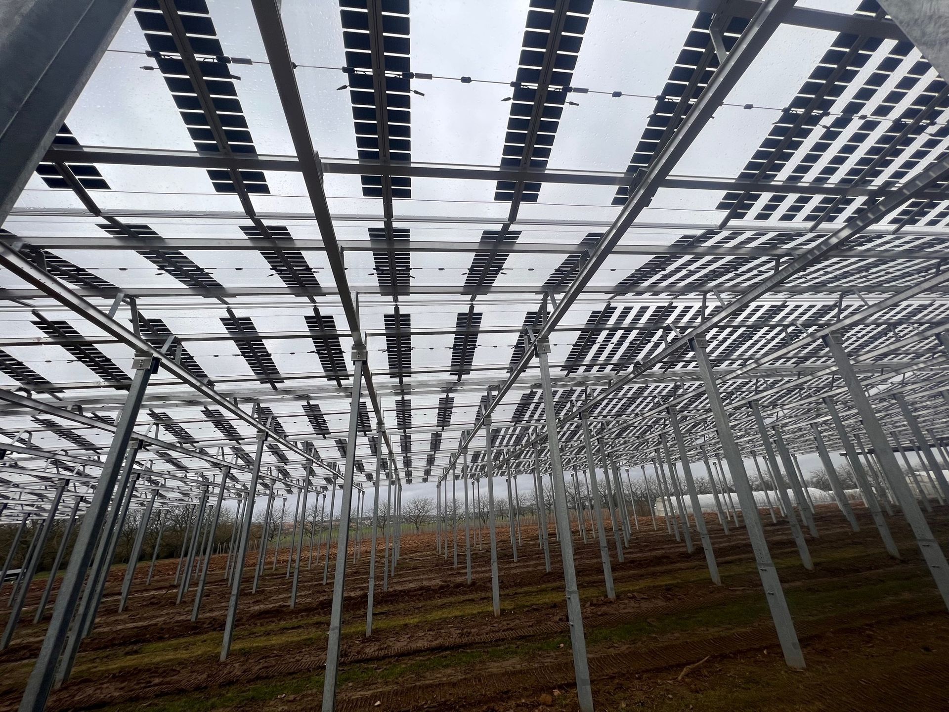 Äpfel, Akzeptanz, Anlagendesign, aufgeständerte Unterkonstruktion, Bewirtschaf-tung, Direktvermarktung, doppelte Landnutzung, Dürreschäden, Eigenstromver-brauch, Energiewende, Ertragsprognose, Flächendruck, Flächeneffizienz, Folienüber-dachung, Frostschäden, Genehmigungsprozesse, Hagelschäden, Hagelschutznetze, intensive Ackerkulturen, Klimawandel, Landschaftsästhetik, Landschaftsattraktivität, Landschaftsschutz, landwirtschaftliche Hauptnutzung, Lichtverfügbarkeit, Marktfähig-keit, Naturschutz, Fotosynthese, Pilotanlagen, privilegierte Vorhaben, ressourceneffi-ziente Landnutzung, Semitransparent, Sonnenbrand, Starkregen, Strombörse, Syner-getische Integration, Tracker, Wassermanagement, Wasserverfügbarkeit, zusätzliche Solarstromproduktion, zusätzliches Einkommen, EEG-Förderung, Ertragssteigerungen, Beeren, Wein, Gemüse, Modulbreite, Bilanzkreis, Ackerkulturen, Gesamtproduktivität, anzulegender Wert, dienende Funktion, Netzbetreiber, Ernteausfälle, zusätzliche Ein-kommensquelle, Reihenabstand, gartenbauliche, Kulturen, Sonderkulturen, lichte Hö-he, überragendes öffentliches, Interesse, Rammung, Erzeugungsprognose, Über-schusseinspeisung, Marktpreis, Neigungswinkel, Wechselrichter, Fernsteuerbarkeit, Bodenversiegelung, fixe Einspeisevergütung, Marktprämie, Flächendruck, PV, Photo-voltaik, Solar, PV-Anlage, Photovoltaik-Anlage, Photovoltaik Anlage, AgriPV, AgriPV, Agrar-PV, Agrar-PV, Agrar-Photovoltaik, Agrar Photovoltaik, Module, Unterkonstrukti-on, Landwirtschaft, Land, grün, Bauern, Obstanbau, Obst, Energie, erneuerbare Ener-gie, PV, Carports, Tracker, geführt, statisch, Deutschland, PV-Firma, PV Firma, Agrar, Pflanzenkultur, Himbeere, Wein, Obst, Apfel