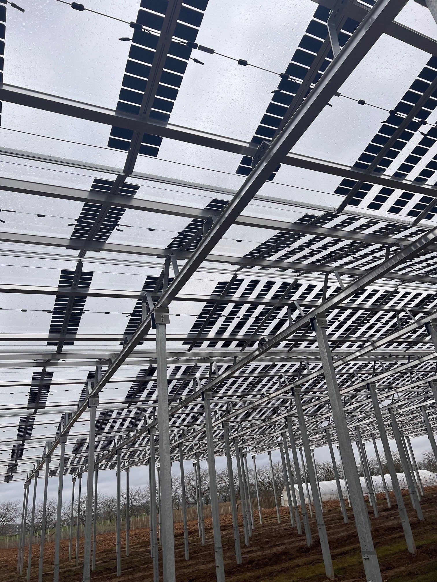 Äpfel, Akzeptanz, Anlagendesign, aufgeständerte Unterkonstruktion, Bewirtschaf-tung, Direktvermarktung, doppelte Landnutzung, Dürreschäden, Eigenstromver-brauch, Energiewende, Ertragsprognose, Flächendruck, Flächeneffizienz, Folienüber-dachung, Frostschäden, Genehmigungsprozesse, Hagelschäden, Hagelschutznetze, intensive Ackerkulturen, Klimawandel, Landschaftsästhetik, Landschaftsattraktivität, Landschaftsschutz, landwirtschaftliche Hauptnutzung, Lichtverfügbarkeit, Marktfähig-keit, Naturschutz, Fotosynthese, Pilotanlagen, privilegierte Vorhaben, ressourceneffi-ziente Landnutzung, Semitransparent, Sonnenbrand, Starkregen, Strombörse, Syner-getische Integration, Tracker, Wassermanagement, Wasserverfügbarkeit, zusätzliche Solarstromproduktion, zusätzliches Einkommen, EEG-Förderung, Ertragssteigerungen, Beeren, Wein, Gemüse, Modulbreite, Bilanzkreis, Ackerkulturen, Gesamtproduktivität, anzulegender Wert, dienende Funktion, Netzbetreiber, Ernteausfälle, zusätzliche Ein-kommensquelle, Reihenabstand, gartenbauliche, Kulturen, Sonderkulturen, lichte Hö-he, überragendes öffentliches, Interesse, Rammung, Erzeugungsprognose, Über-schusseinspeisung, Marktpreis, Neigungswinkel, Wechselrichter, Fernsteuerbarkeit, Bodenversiegelung, fixe Einspeisevergütung, Marktprämie, Flächendruck, PV, Photo-voltaik, Solar, PV-Anlage, Photovoltaik-Anlage, Photovoltaik Anlage, AgriPV, AgriPV, Agrar-PV, Agrar-PV, Agrar-Photovoltaik, Agrar Photovoltaik, Module, Unterkonstrukti-on, Landwirtschaft, Land, grün, Bauern, Obstanbau, Obst, Energie, erneuerbare Ener-gie, PV, Carports, Tracker, geführt, statisch, Deutschland, PV-Firma, PV Firma, Agrar, Pflanzenkultur, Himbeere, Wein, Obst, Apfel