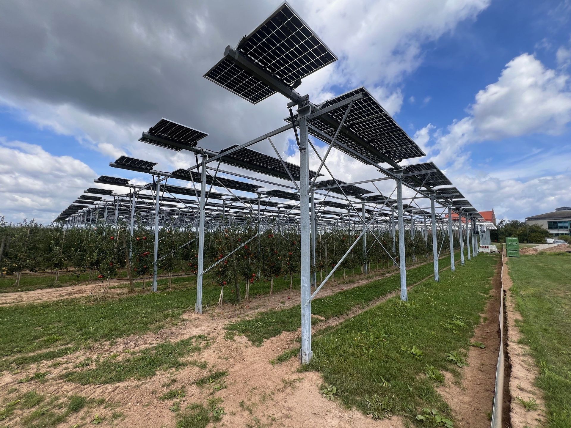 Äpfel, Akzeptanz, Anlagendesign, aufgeständerte Unterkonstruktion, Bewirtschaftung, Di-rektvermarktung, doppelte Landnutzung, Dürreschäden, Eigenstromverbrauch, Energie-wende, Ertragsprognose, Flächendruck, Flächeneffizienz, Folienüberdachung, Frostschä-den, Genehmigungsprozesse, Hagelschäden, Hagelschutznetze, intensive Ackerkulturen, Klimawandel, Landschaftsästhetik, Landschaftsattraktivität, Landschaftsschutz, landwirt-schaftliche Hauptnutzung, Lichtverfügbarkeit, Marktfähigkeit, Naturschutz, Fotosynthese, Pilotanlagen, privilegierte Vorhaben, ressourceneffiziente Landnutzung, Semitransparent, Sonnenbrand, Starkregen, Strombörse, Synergetische Integration, Tracker, Wasserma-nagement, Wasserverfügbarkeit, zusätzliche Solarstromproduktion, zusätzliches Einkom-men, EEG-Förderung, Ertragssteigerungen, Beeren, Wein, Gemüse, Modulbreite, Bilanz-kreis, Ackerkulturen, Gesamtproduktivität, anzulegender Wert, dienende Funktion, Netzbe-treiber, Ernteausfälle, zusätzliche Einkommensquelle, Reihenabstand, gartenbauliche, Kul-turen, Sonderkulturen, lichte Höhe, überragendes öffentliches, Interesse, Rammung, Er-zeugungsprognose, Überschusseinspeisung, Marktpreis, Neigungswinkel, Wechselrichter, Fernsteuerbarkeit, Bodenversiegelung, fixe Einspeisevergütung, Marktprämie, Flächen-druck, PV, Photovoltaik, Solar, PV-Anlage, Photovoltaik-Anlage, Photovoltaik Anlage, Ag-riPV, AgriPV, Agrar-PV, Agrar-PV, Agrar-Photovoltaik, Agrar Photovoltaik, Module, Unter-konstruktion, Landwirtschaft, Land, grün, Bauern, Obstanbau, Obst, Energie, erneuerbare Energie, PV, Carports, Tracker, geführt, statisch, Deutschland, PV-Firma, PV Firma, Agrar, Pflanzenkultur, Himbeere, Wein, Obst, Apfel