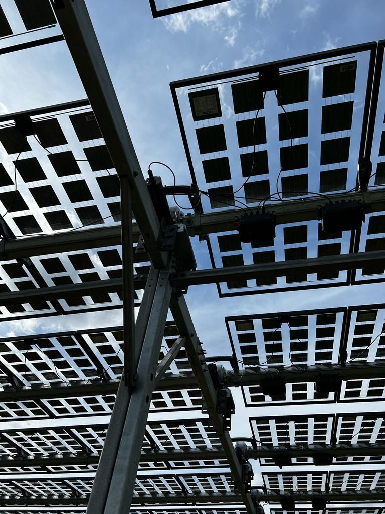 Äpfel, Akzeptanz, Anlagendesign, aufgeständerte Unterkonstruktion, Bewirtschaftung, Di-rektvermarktung, doppelte Landnutzung, Dürreschäden, Eigenstromverbrauch, Energie-wende, Ertragsprognose, Flächendruck, Flächeneffizienz, Folienüberdachung, Frostschä-den, Genehmigungsprozesse, Hagelschäden, Hagelschutznetze, intensive Ackerkulturen, Klimawandel, Landschaftsästhetik, Landschaftsattraktivität, Landschaftsschutz, landwirt-schaftliche Hauptnutzung, Lichtverfügbarkeit, Marktfähigkeit, Naturschutz, Fotosynthese, Pilotanlagen, privilegierte Vorhaben, ressourceneffiziente Landnutzung, Semitransparent, Sonnenbrand, Starkregen, Strombörse, Synergetische Integration, Tracker, Wasserma-nagement, Wasserverfügbarkeit, zusätzliche Solarstromproduktion, zusätzliches Einkom-men, EEG-Förderung, Ertragssteigerungen, Beeren, Wein, Gemüse, Modulbreite, Bilanz-kreis, Ackerkulturen, Gesamtproduktivität, anzulegender Wert, dienende Funktion, Netzbe-treiber, Ernteausfälle, zusätzliche Einkommensquelle, Reihenabstand, gartenbauliche, Kul-turen, Sonderkulturen, lichte Höhe, überragendes öffentliches, Interesse, Rammung, Er-zeugungsprognose, Überschusseinspeisung, Marktpreis, Neigungswinkel, Wechselrichter, Fernsteuerbarkeit, Bodenversiegelung, fixe Einspeisevergütung, Marktprämie, Flächen-druck, PV, Photovoltaik, Solar, PV-Anlage, Photovoltaik-Anlage, Photovoltaik Anlage, Ag-riPV, AgriPV, Agrar-PV, Agrar-PV, Agrar-Photovoltaik, Agrar Photovoltaik, Module, Unter-konstruktion, Landwirtschaft, Land, grün, Bauern, Obstanbau, Obst, Energie, erneuerbare Energie, PV, Carports, Tracker, geführt, statisch, Deutschland, PV-Firma, PV Firma, Agrar, Pflanzenkultur, Himbeere, Wein, Obst, Apfel