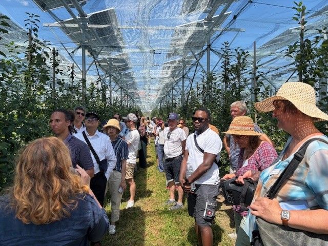 AgriPV, Apfelanbau, Tracker-System, Agri-Photovoltaik