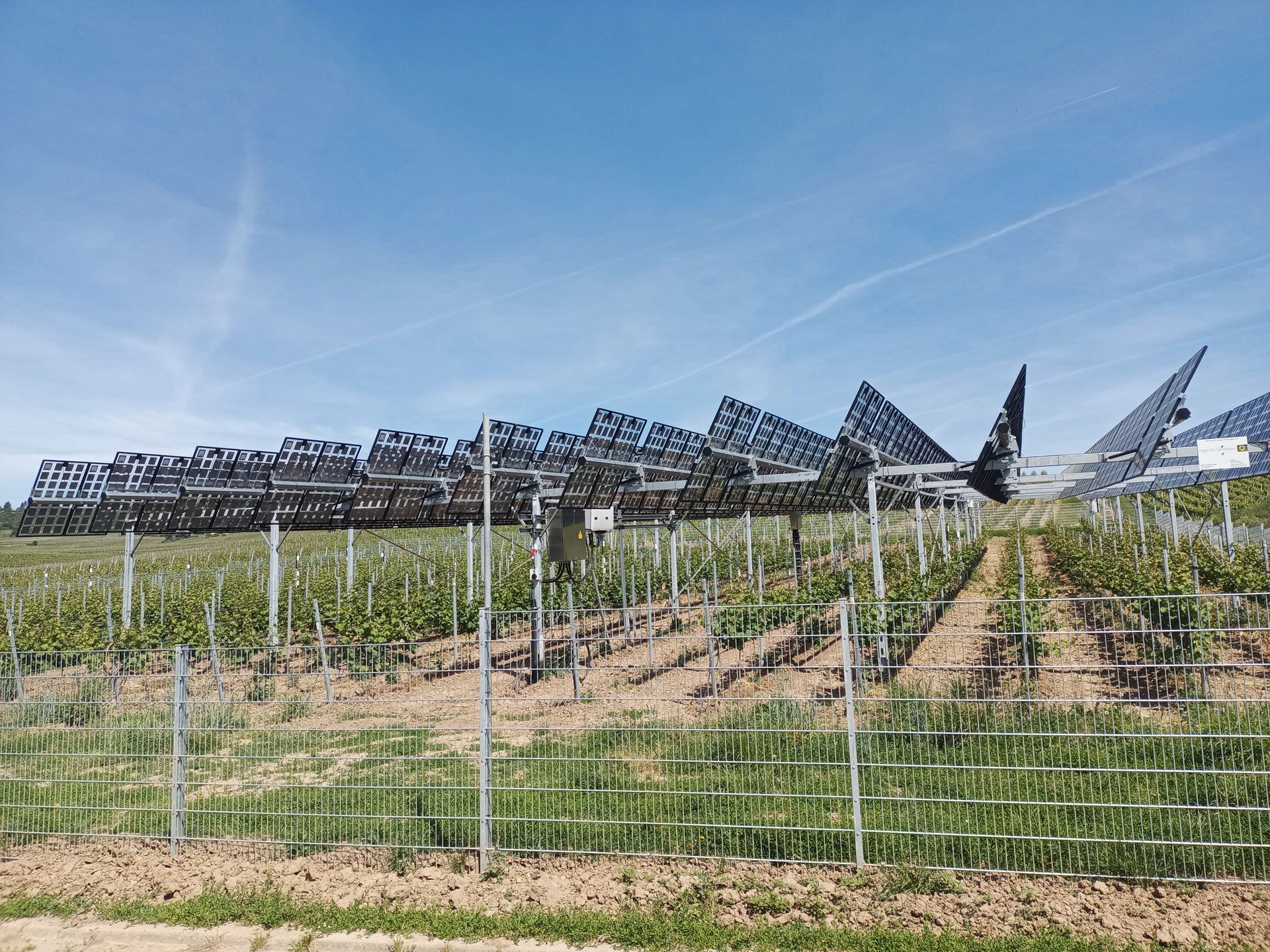 Äpfel, Akzeptanz, Anlagendesign, aufgeständerte Unterkonstruktion, Bewirtschaftung, Di-rektvermarktung, doppelte Landnutzung, Dürreschäden, Eigenstromverbrauch, Energie-wende, Ertragsprognose, Flächendruck, Flächeneffizienz, Folienüberdachung, Frostschä-den, Genehmigungsprozesse, Hagelschäden, Hagelschutznetze, intensive Ackerkulturen, Klimawandel, Landschaftsästhetik, Landschaftsattraktivität, Landschaftsschutz, landwirt-schaftliche Hauptnutzung, Lichtverfügbarkeit, Marktfähigkeit, Naturschutz, Fotosynthese, Pilotanlagen, privilegierte Vorhaben, ressourceneffiziente Landnutzung, Semitransparent, Sonnenbrand, Starkregen, Strombörse, Synergetische Integration, Tracker, Wasserma-nagement, Wasserverfügbarkeit, zusätzliche Solarstromproduktion, zusätzliches Einkom-men, EEG-Förderung, Ertragssteigerungen, Beeren, Wein, Gemüse, Modulbreite, Bilanz-kreis, Ackerkulturen, Gesamtproduktivität, anzulegender Wert, dienende Funktion, Netzbe-treiber, Ernteausfälle, zusätzliche Einkommensquelle, Reihenabstand, gartenbauliche, Kul-turen, Sonderkulturen, lichte Höhe, überragendes öffentliches, Interesse, Rammung, Er-zeugungsprognose, Überschusseinspeisung, Marktpreis, Neigungswinkel, Wechselrichter, Fernsteuerbarkeit, Bodenversiegelung, fixe Einspeisevergütung, Marktprämie, Flächen-druck, PV, Photovoltaik, Solar, PV-Anlage, Photovoltaik-Anlage, Photovoltaik Anlage, Ag-riPV, AgriPV, Agrar-PV, Agrar-PV, Agrar-Photovoltaik, Agrar Photovoltaik, Module, Unter-konstruktion, Landwirtschaft, Land, grün, Bauern, Obstanbau, Obst, Energie, erneuerbare Energie, PV, Carports, Tracker, geführt, statisch, Deutschland, PV-Firma, PV Firma, Agrar, Pflanzenkultur, Himbeere, Wein, Obst, Apfel