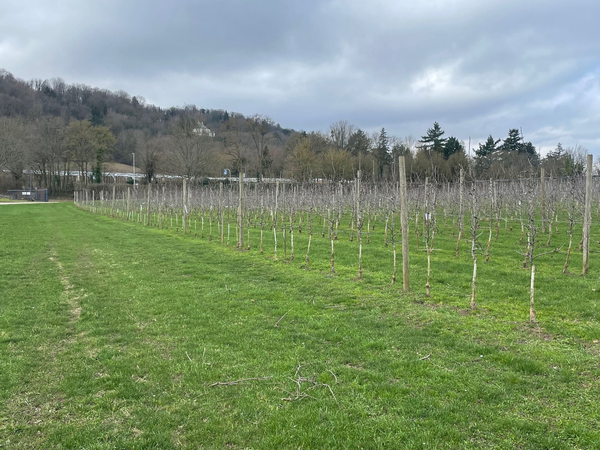 Äpfel, Akzeptanz, Anlagendesign, aufgeständerte Unterkonstruktion, Bewirtschaftung, Di-rektvermarktung, doppelte Landnutzung, Dürreschäden, Eigenstromverbrauch, Energie-wende, Ertragsprognose, Flächendruck, Flächeneffizienz, Folienüberdachung, Frostschä-den, Genehmigungsprozesse, Hagelschäden, Hagelschutznetze, intensive Ackerkulturen, Klimawandel, Landschaftsästhetik, Landschaftsattraktivität, Landschaftsschutz, landwirt-schaftliche Hauptnutzung, Lichtverfügbarkeit, Marktfähigkeit, Naturschutz, Fotosynthese, Pilotanlagen, privilegierte Vorhaben, ressourceneffiziente Landnutzung, Semitransparent, Sonnenbrand, Starkregen, Strombörse, Synergetische Integration, Tracker, Wasserma-nagement, Wasserverfügbarkeit, zusätzliche Solarstromproduktion, zusätzliches Einkom-men, EEG-Förderung, Ertragssteigerungen, Beeren, Wein, Gemüse, Modulbreite, Bilanz-kreis, Ackerkulturen, Gesamtproduktivität, anzulegender Wert, dienende Funktion, Netzbe-treiber, Ernteausfälle, zusätzliche Einkommensquelle, Reihenabstand, gartenbauliche, Kul-turen, Sonderkulturen, lichte Höhe, überragendes öffentliches, Interesse, Rammung, Er-zeugungsprognose, Überschusseinspeisung, Marktpreis, Neigungswinkel, Wechselrichter, Fernsteuerbarkeit, Bodenversiegelung, fixe Einspeisevergütung, Marktprämie, Flächen-druck, PV, Photovoltaik, Solar, PV-Anlage, Photovoltaik-Anlage, Photovoltaik Anlage, Ag-riPV, AgriPV, Agrar-PV, Agrar-PV, Agrar-Photovoltaik, Agrar Photovoltaik, Module, Unter-konstruktion, Landwirtschaft, Land, grün, Bauern, Obstanbau, Obst, Energie, erneuerbare Energie, PV, Carports, Tracker, geführt, statisch, Deutschland, PV-Firma, PV Firma, Agrar, Pflanzenkultur, Himbeere, Wein, Obst, Apfel