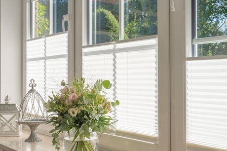 Plissee für Haus und Wohnung Krempe kaufen