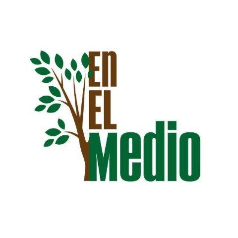 ENELMEDIO LOGO ONG ENELMEDIO