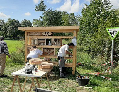 Nutzinsekten - Mainz