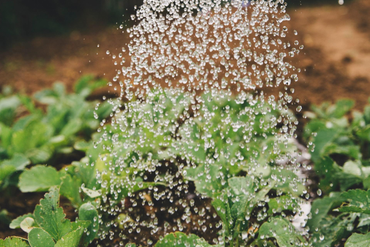 Cluster, Incubateur, CCI, CMA ... Vous accompagnez la création ou le développement des entreprises