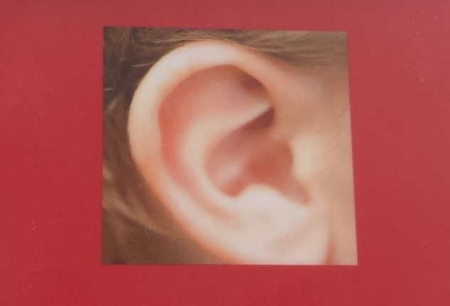 HÖREN Systemische Aufstellung des Sinnes Hören