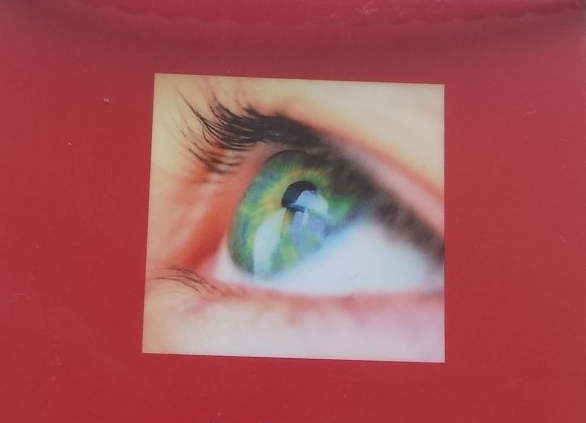 Sehen Systemische Aufstellung des Sinnes Sehen