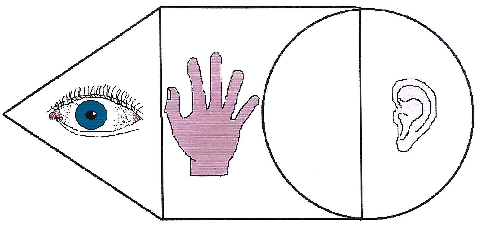 Visueller Lerntyp Visueller Lerntyp