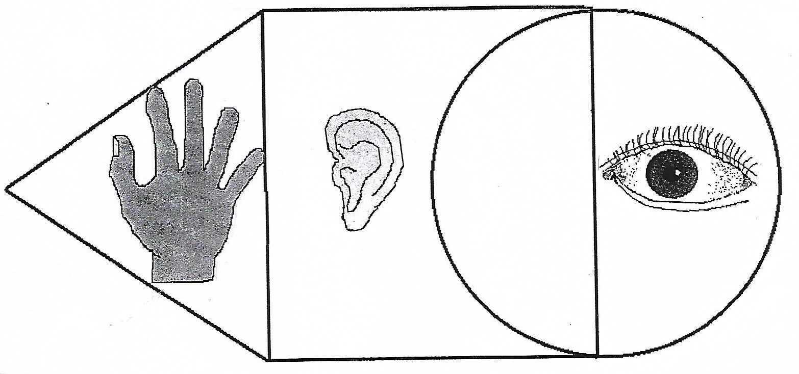 Kinästhetischer Lerntyp Kinästhetischer Lerntyp