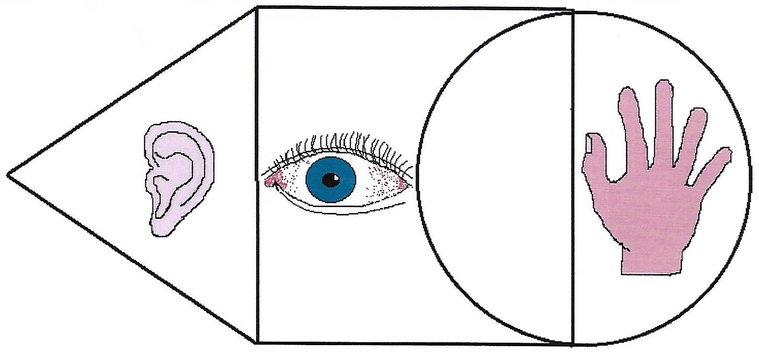 Auditiver Lerntyp Auditiver Lerntyp