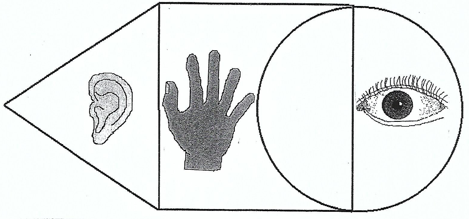 Auditiver Lerntyp Auditiver Lerntyp