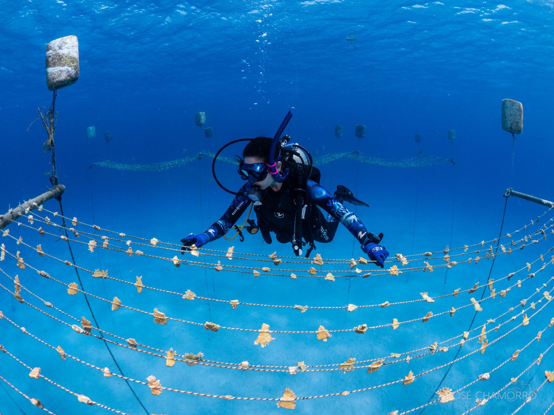 Viaje_San_andrés_travel_and_diving