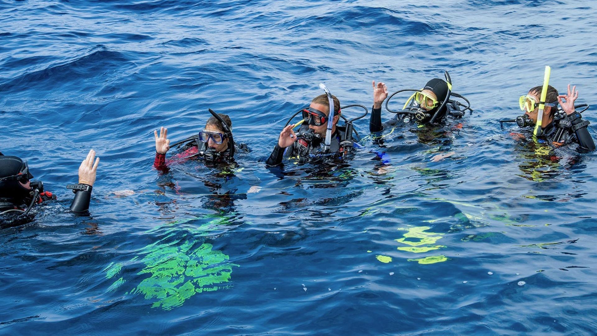 Curso de rescate PADI