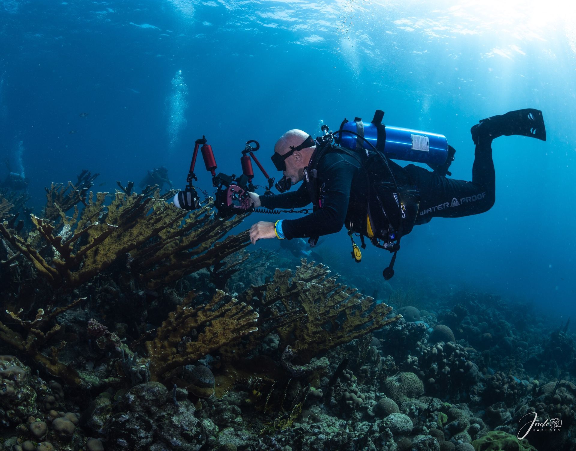 Foto de Jose Chamorro Travel&Diving