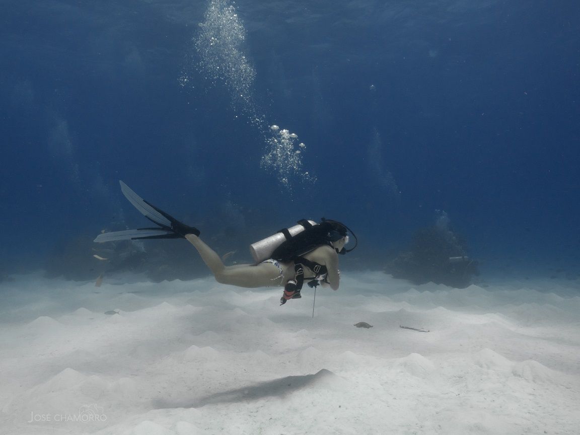 Curso de flotabilidad