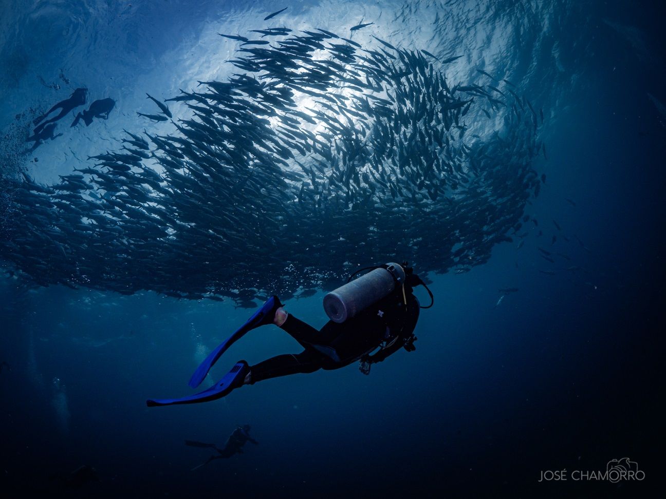 Buzo en el banco de Jureles