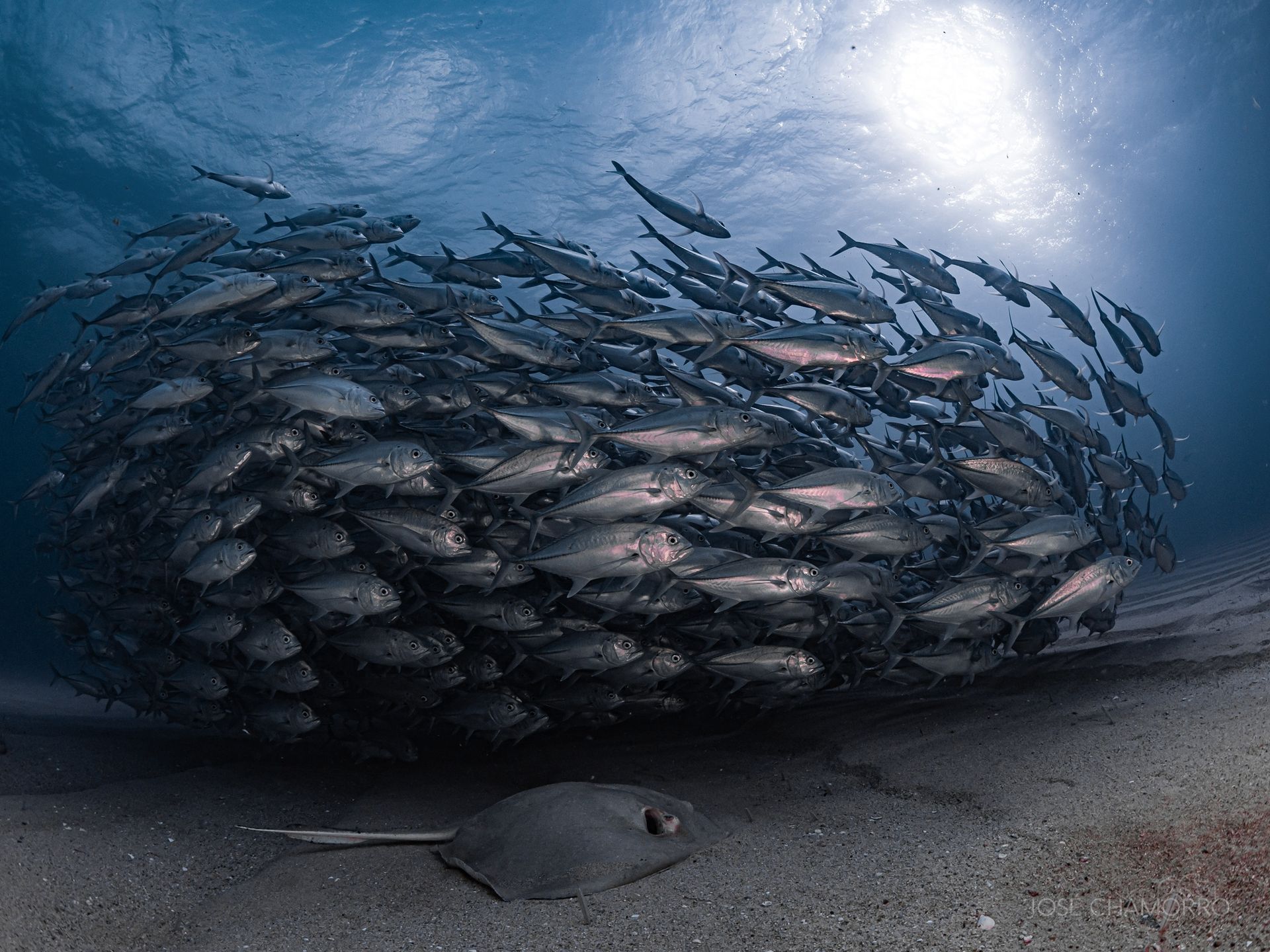 Banco de Jureles y Raya