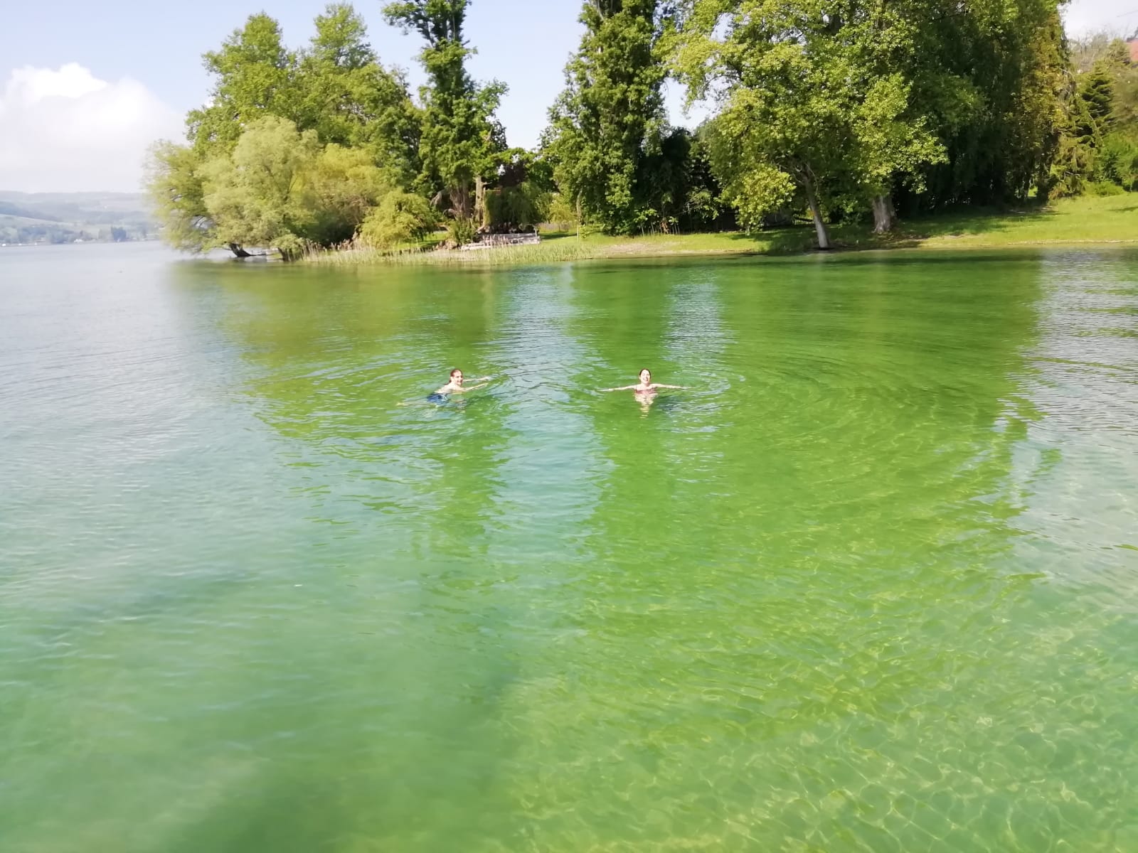 Baden Bodensee Erlebnis Charter Motorboot