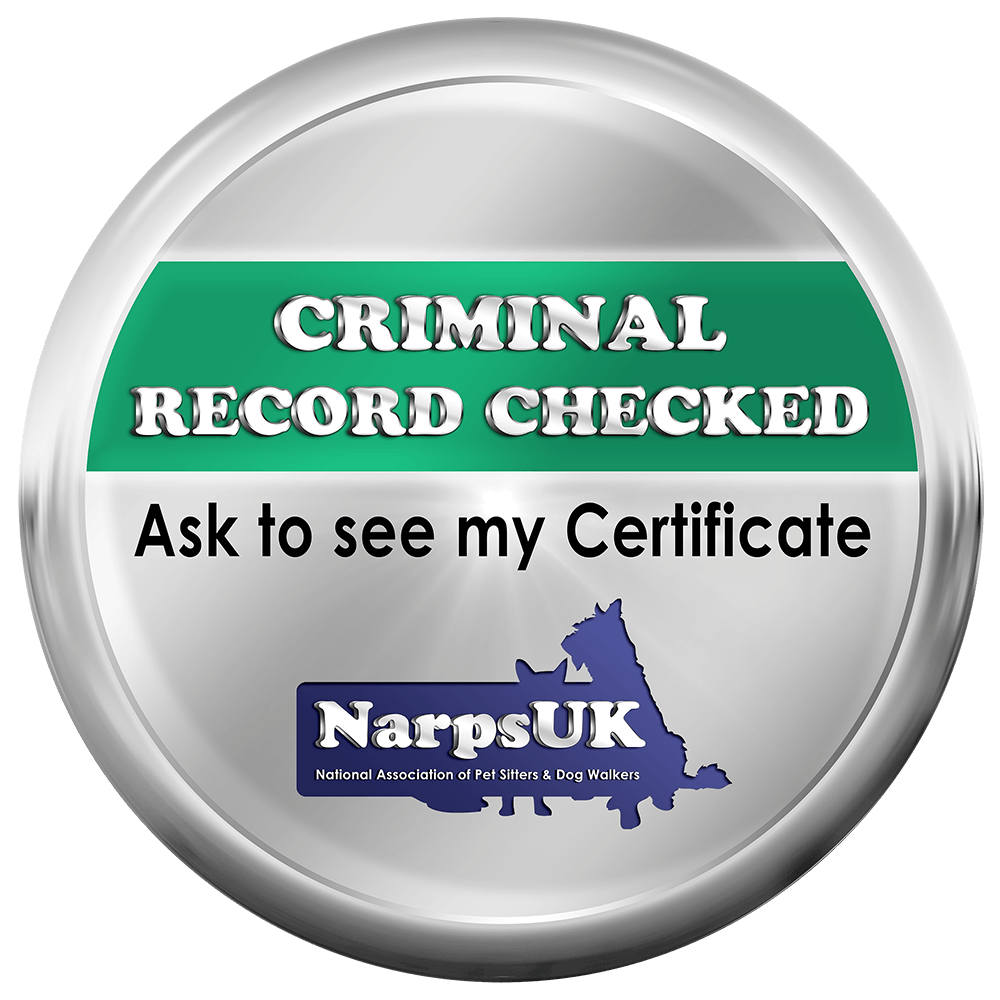Criminal record checked