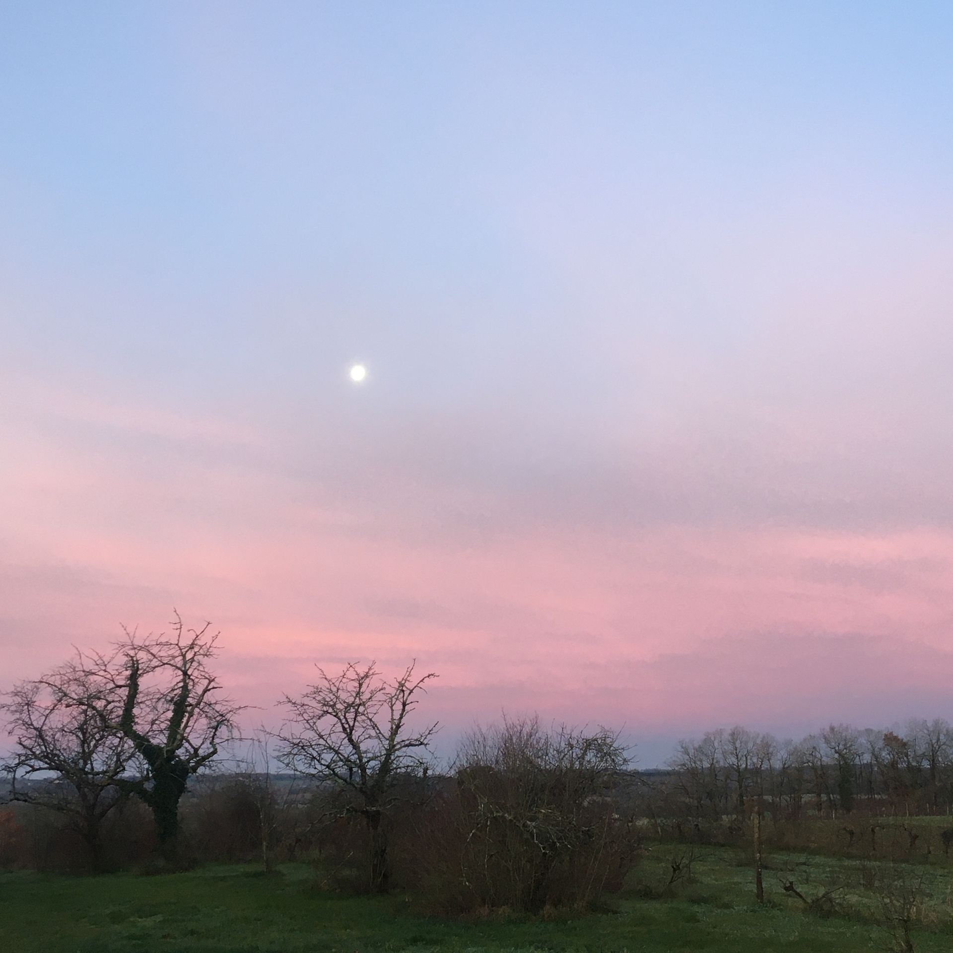 Phil Canals - Le Saki Noir - Musique et Chamanisme - Stages - Ateliers