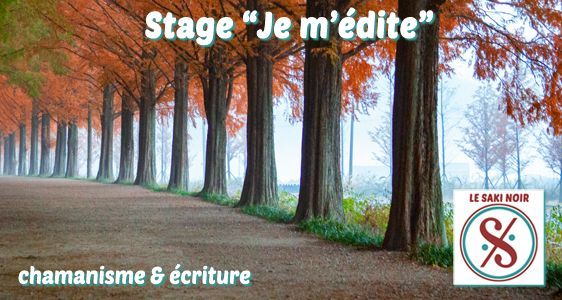 Le Saki Noir - Phil Canals - Musique et Chamanisme Le Saki Noir - Phil Canals - Musique et Chamanisme