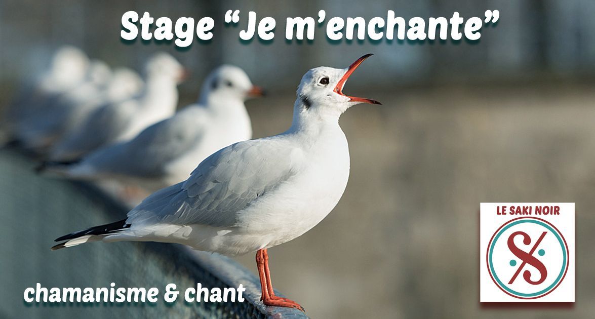 Le Saki Noir - Phil Canals - Musique et Chamanisme Le Saki Noir - Phil Canals - Musique et Chamanisme