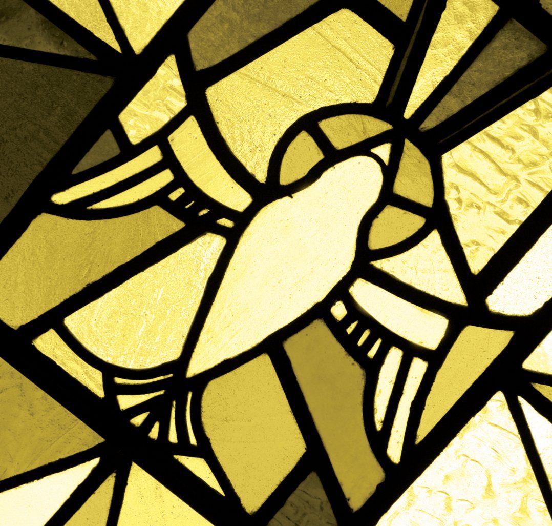 Folleto Informativo Folleto de Información