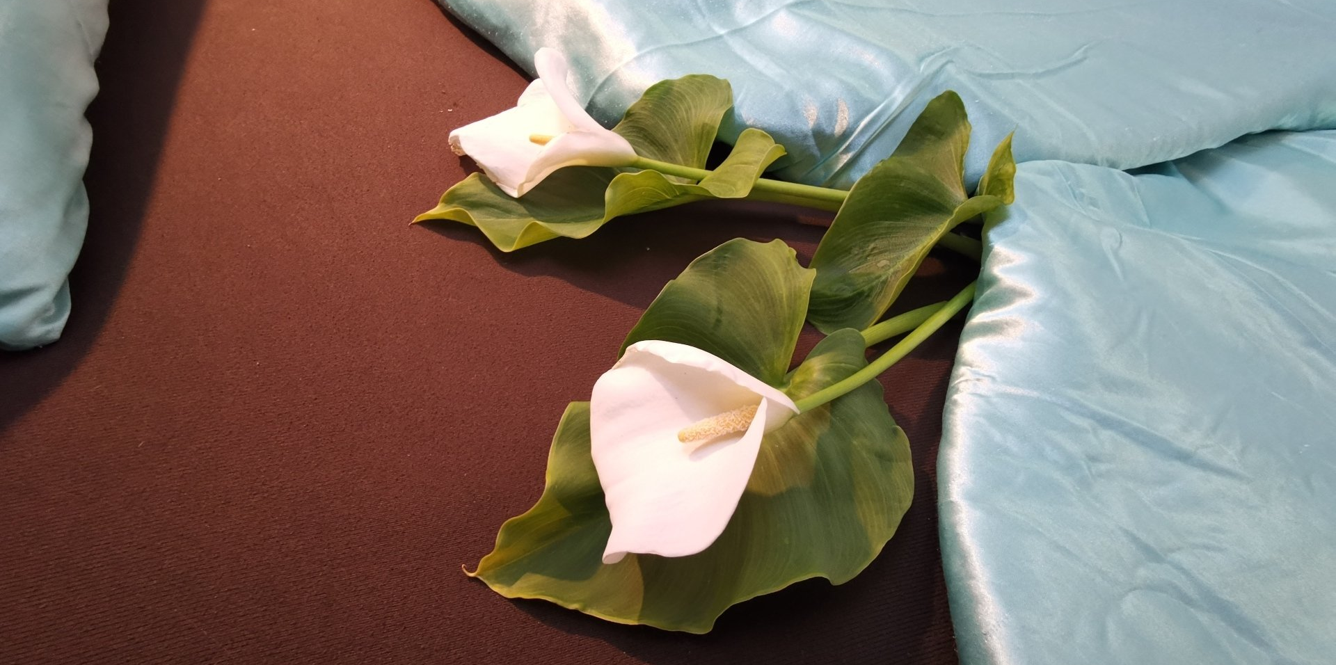 Ferienwohnung Klaus Ferienwohnung Appartements Apartement Dienten Hochkönig Blumenhaus Klaus