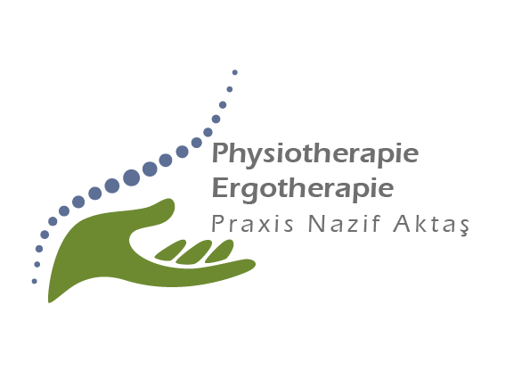 Logo Nazif Aktas