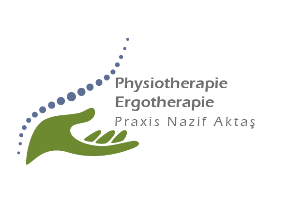 Logo Logo Nazif Aktas
