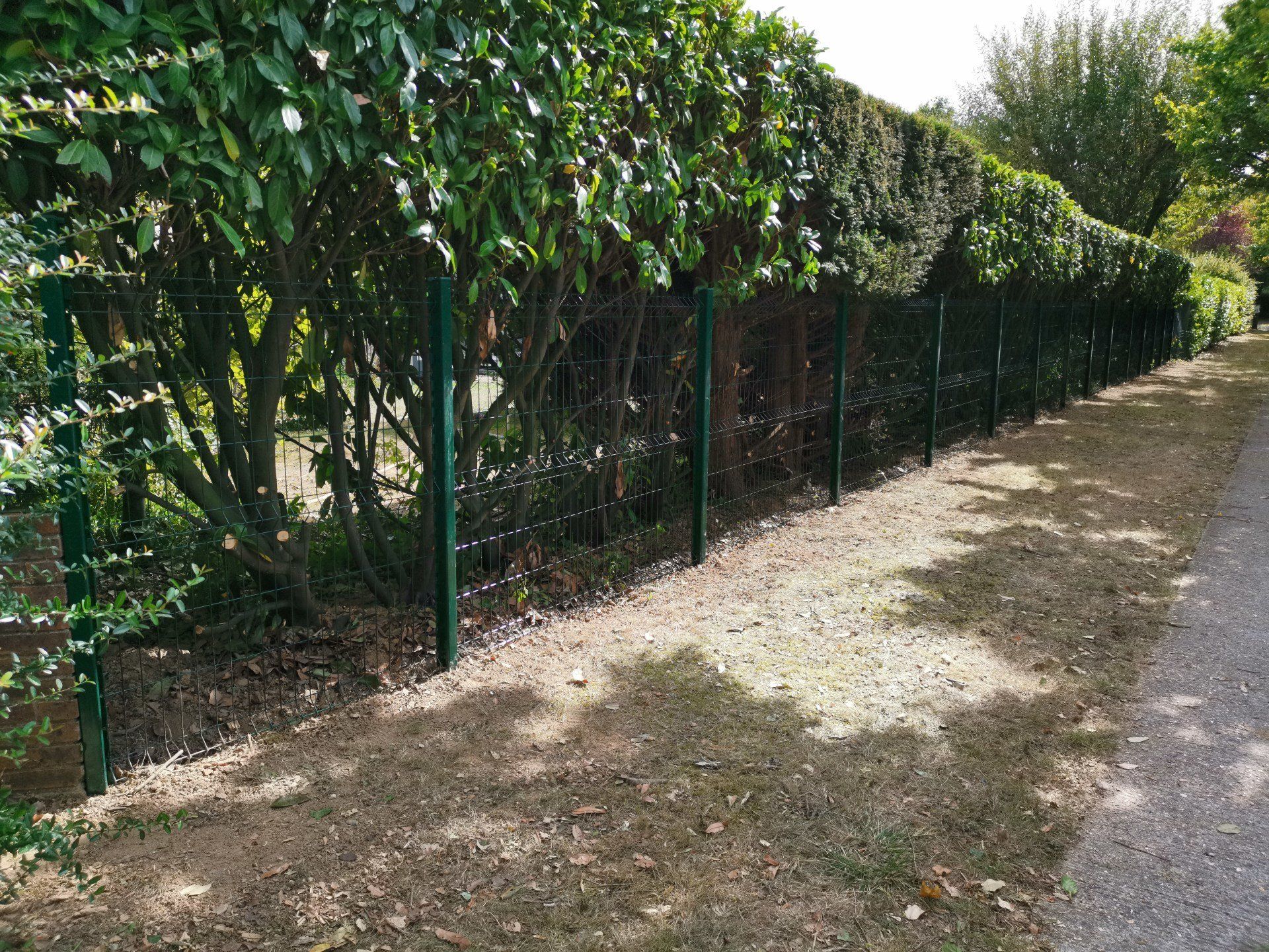 Pose de clôture, panneaux de grillage rigide, scellement des poteaux, paysagiste, professionnel de la clôture.