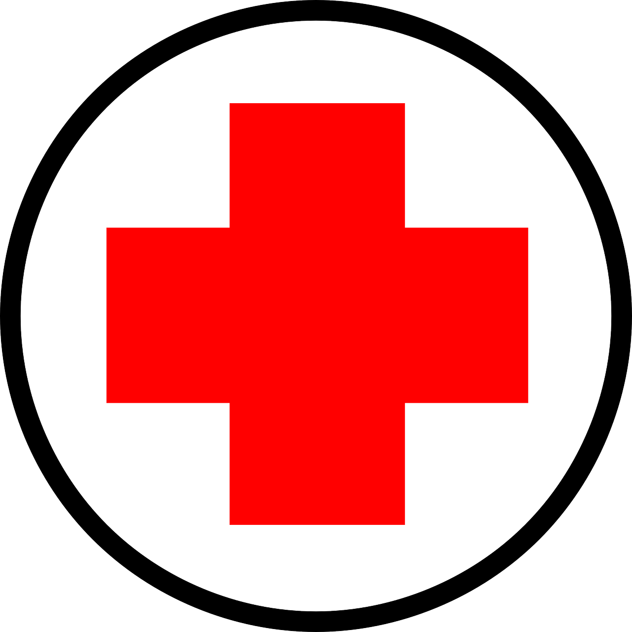 Erste Hilfe fürs Pferd