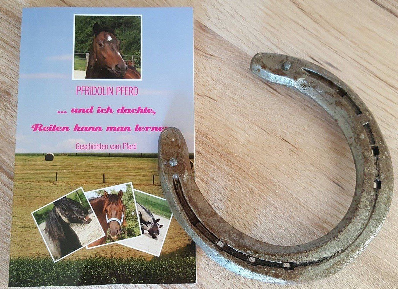 Buch Pfridolin Pferd - ich dachte reiten kann man lernen