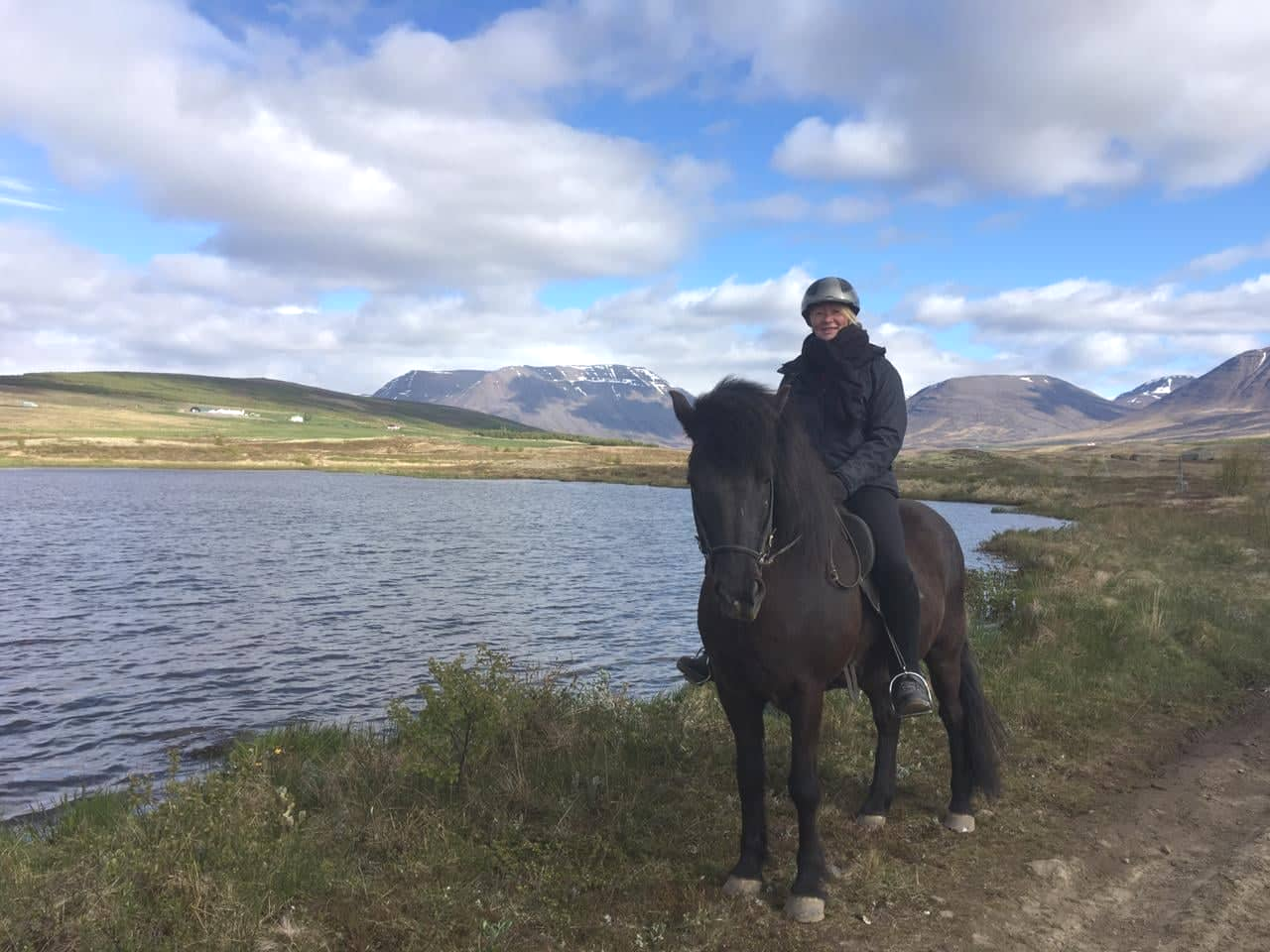 Mein Reiturlaub auf Island