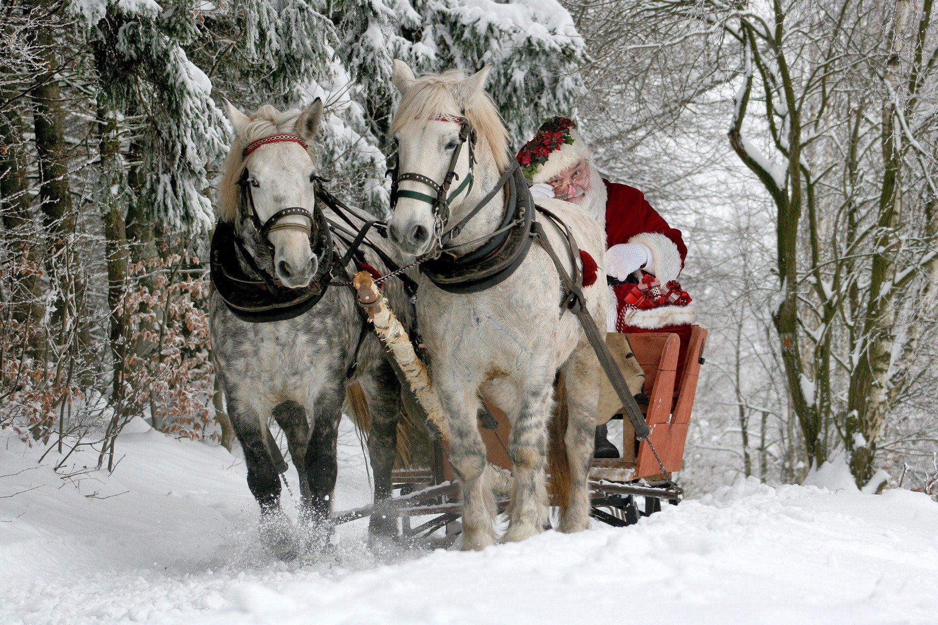 Weihnachtsmann mit Pferden und Geschenken für Reiter