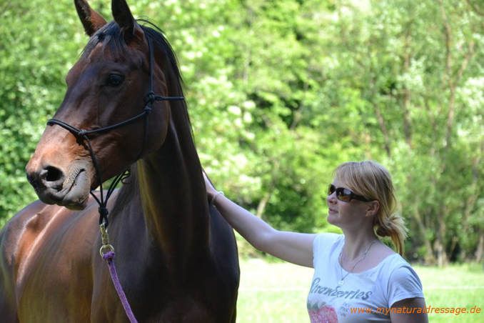 Bodenarbeit mit Pferd