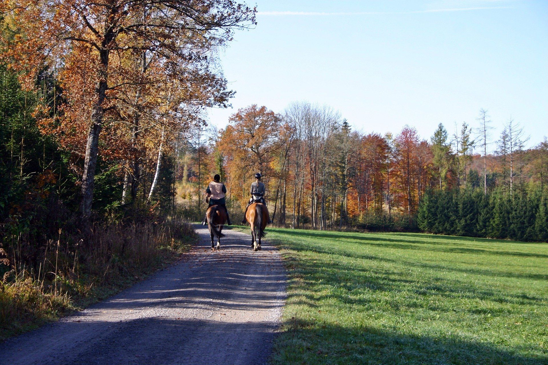 Dressurtraining im Gelände