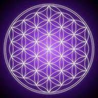 Reiki Shamballa