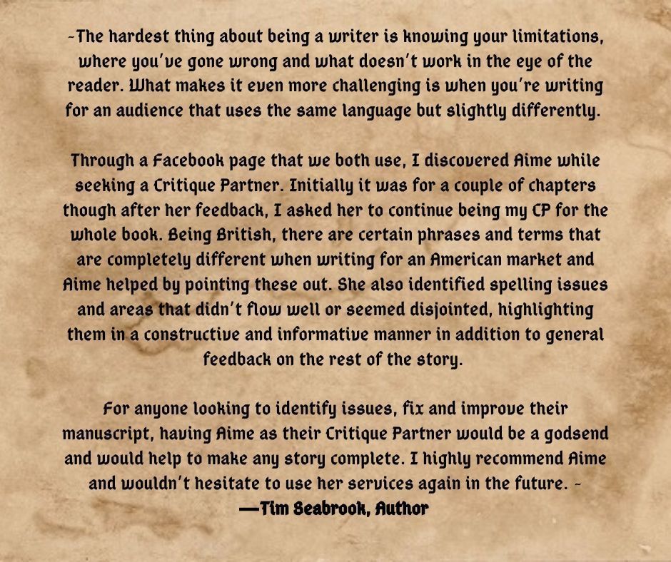 critique partner review! Tim Seabrook critique partner testimonial