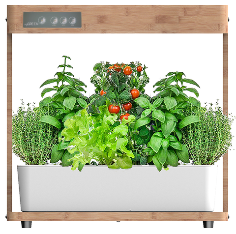 Kitchen Garden - Das hydroponische Indoor Garden System