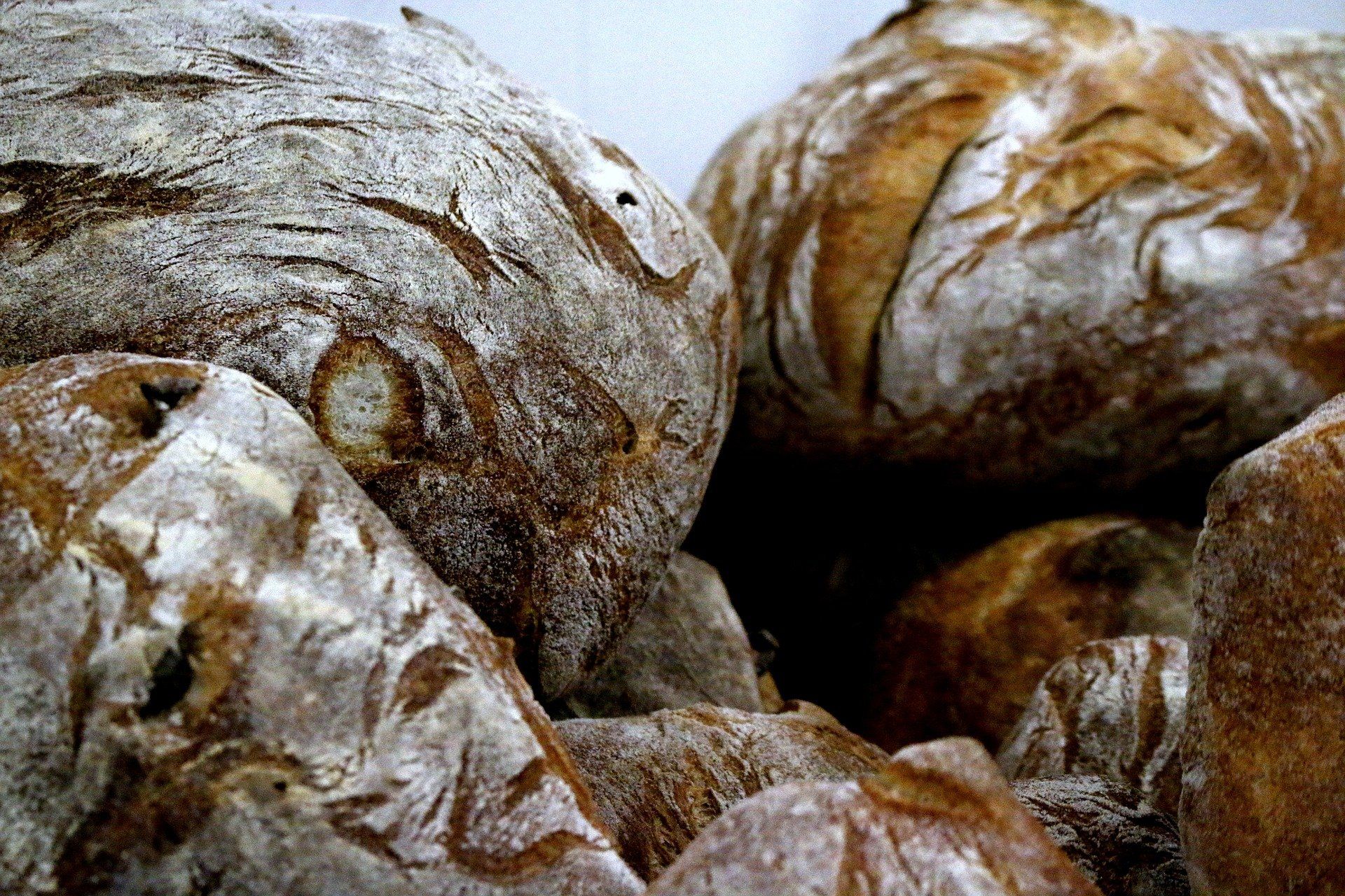 Bauernbrot mit langer Teigführung Bauernbrot mit Sauerteig