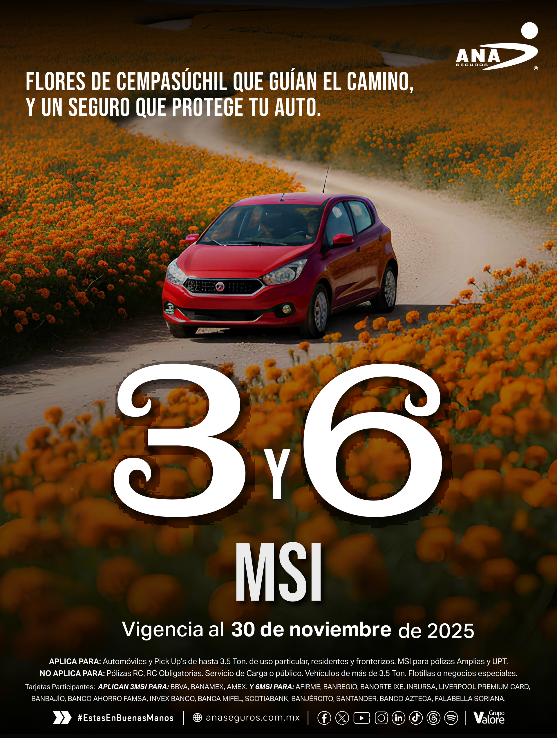 promocion seguro de auto a 3 y 6 meses sin intereses MSI con ANA Seguros