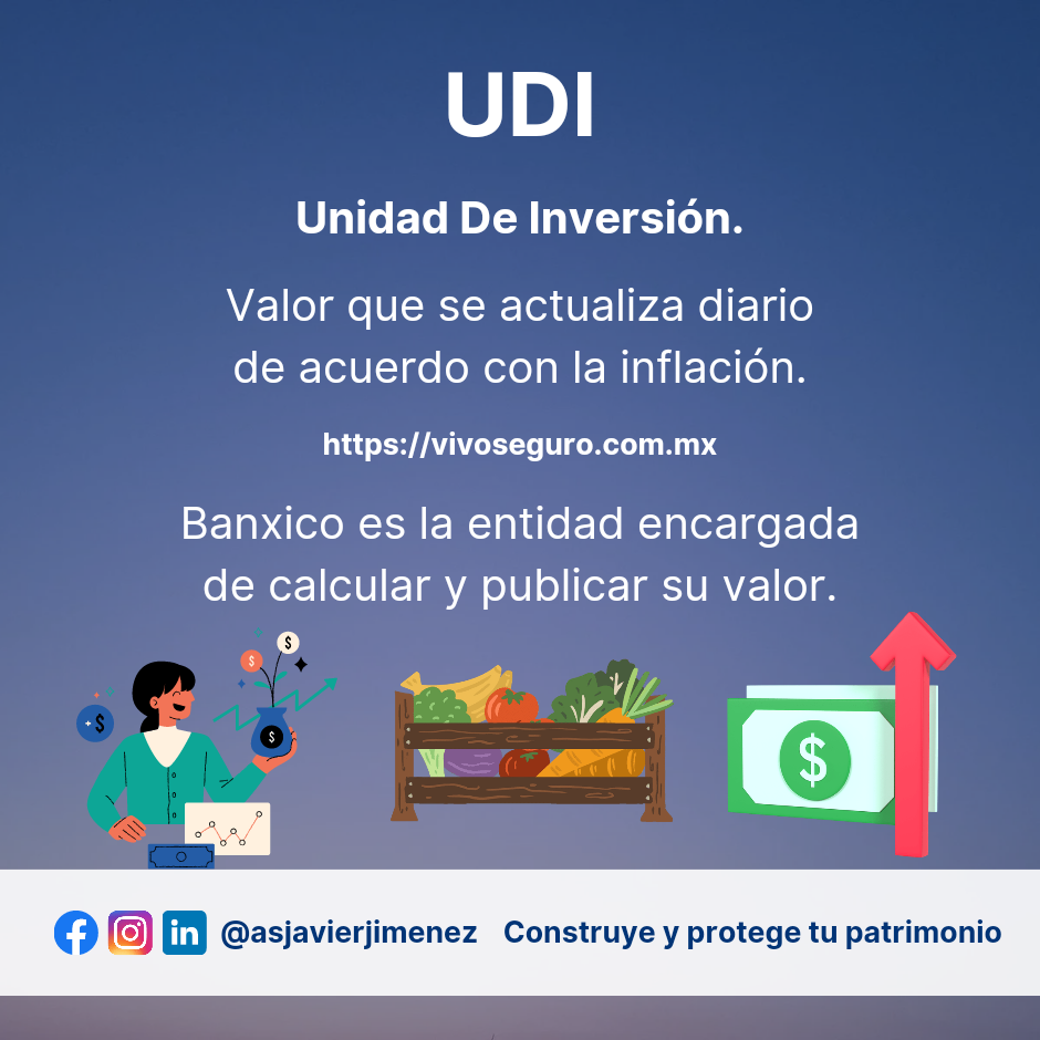 UDI unidades de inversion