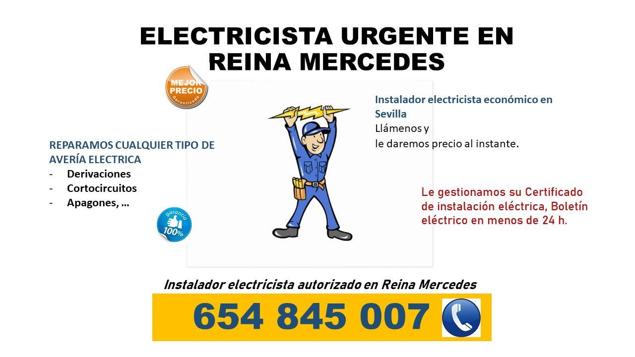 electricista Reina Mercedes