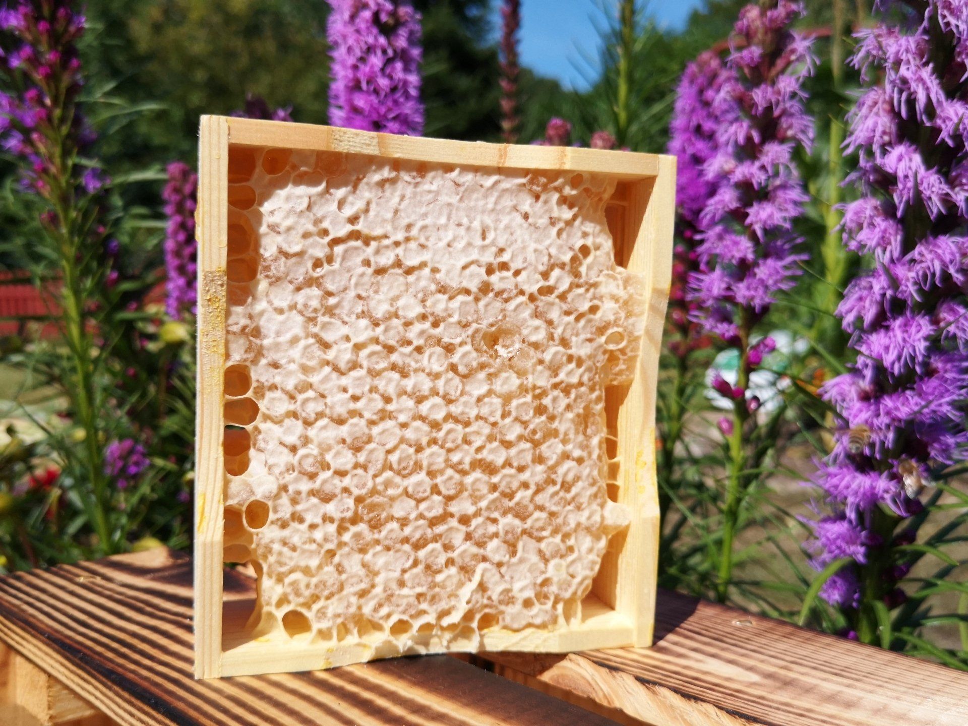 Wabenhonig Niebüll auf Kiste mit Blumen